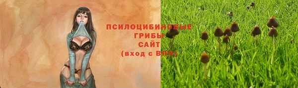 ECSTASY Алзамай