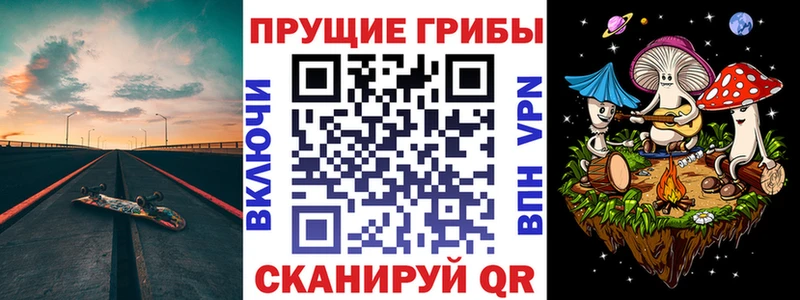 МЕГА ССЫЛКА  Староминская  Псилоцибиновые грибы GOLDEN TEACHER  наркошоп 